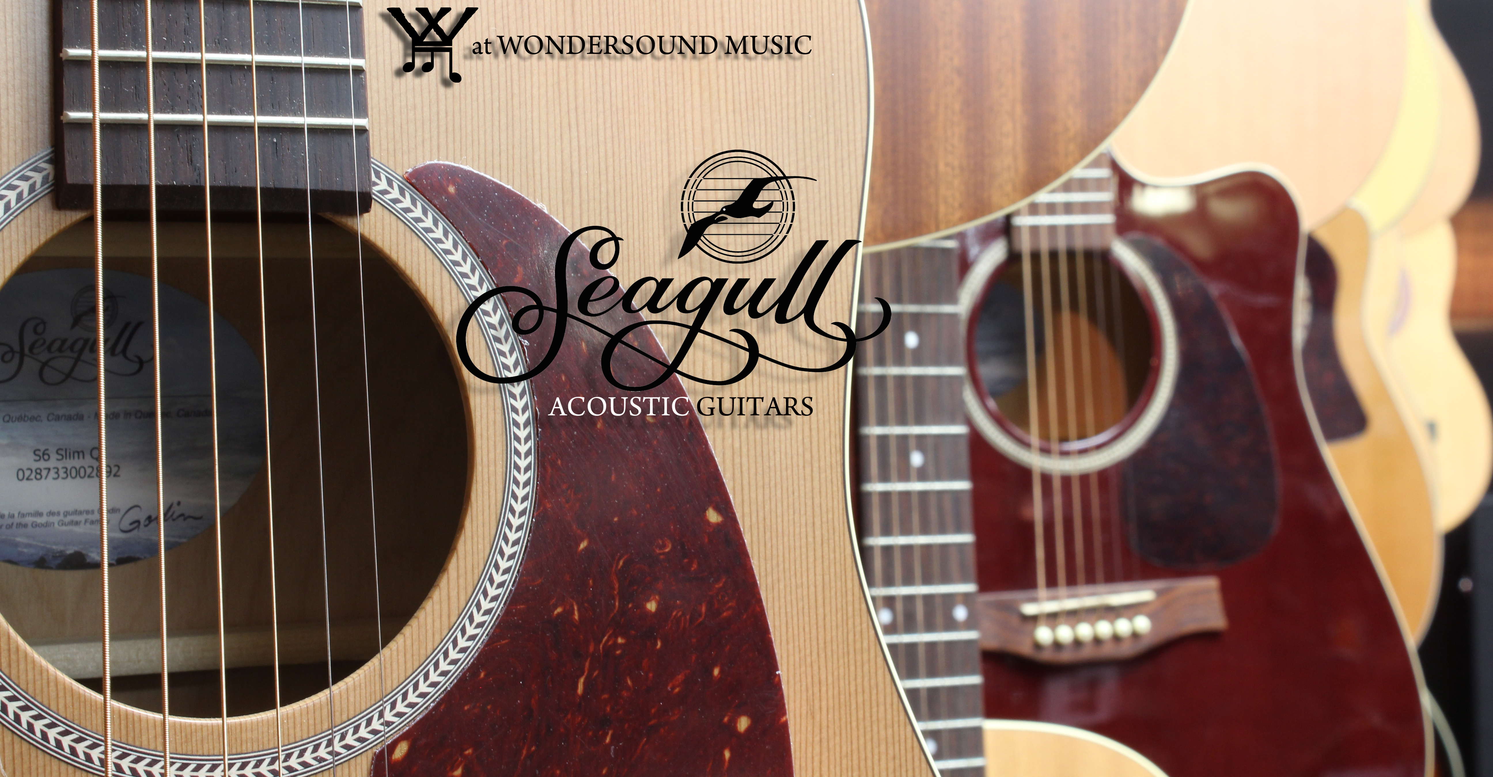 SEAGULL-at-Wondersound